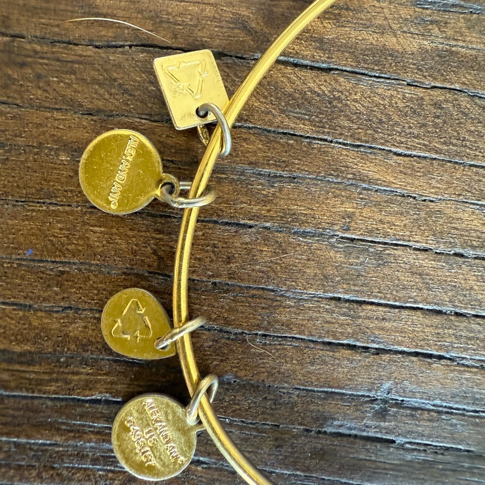 Alex and Ani Gold Bee Charm Bracelet - Picture 5 of 5